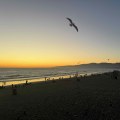 What Is The Difference Between SEM And SEO In Santa Monica